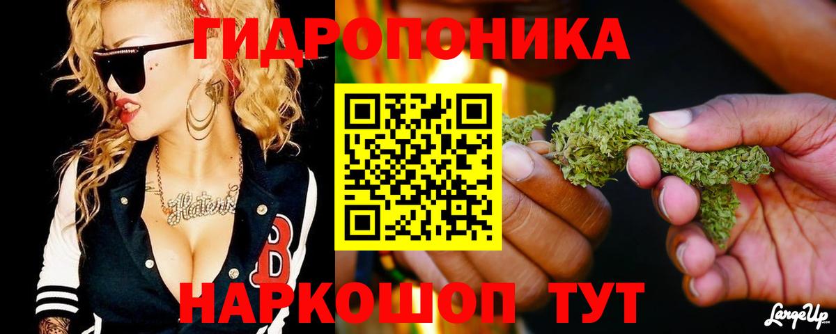 Бошки Шишки семена  Вход с VPN  МАРИХУАНА план  Бошки марихуана MAZAR  Ливны  Шишки марихуана планчик 
